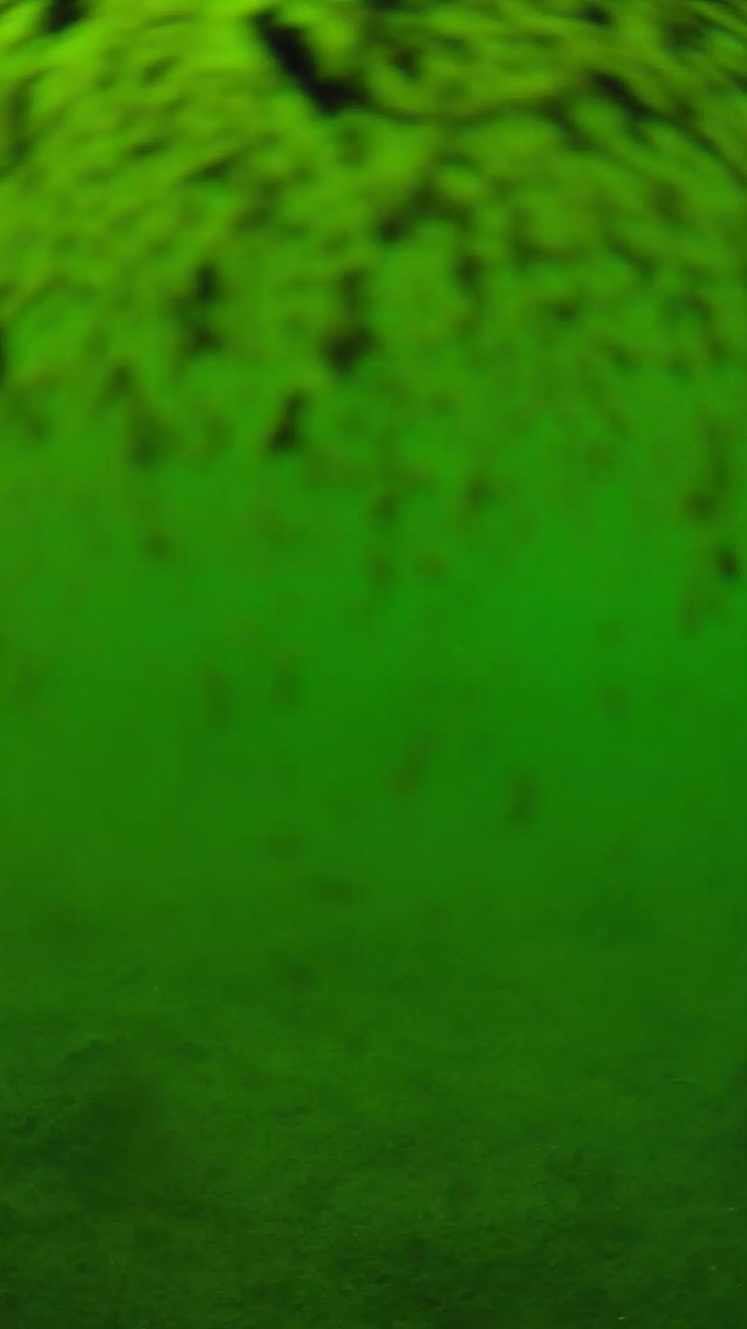 lander_ipcam_20240630133602.png