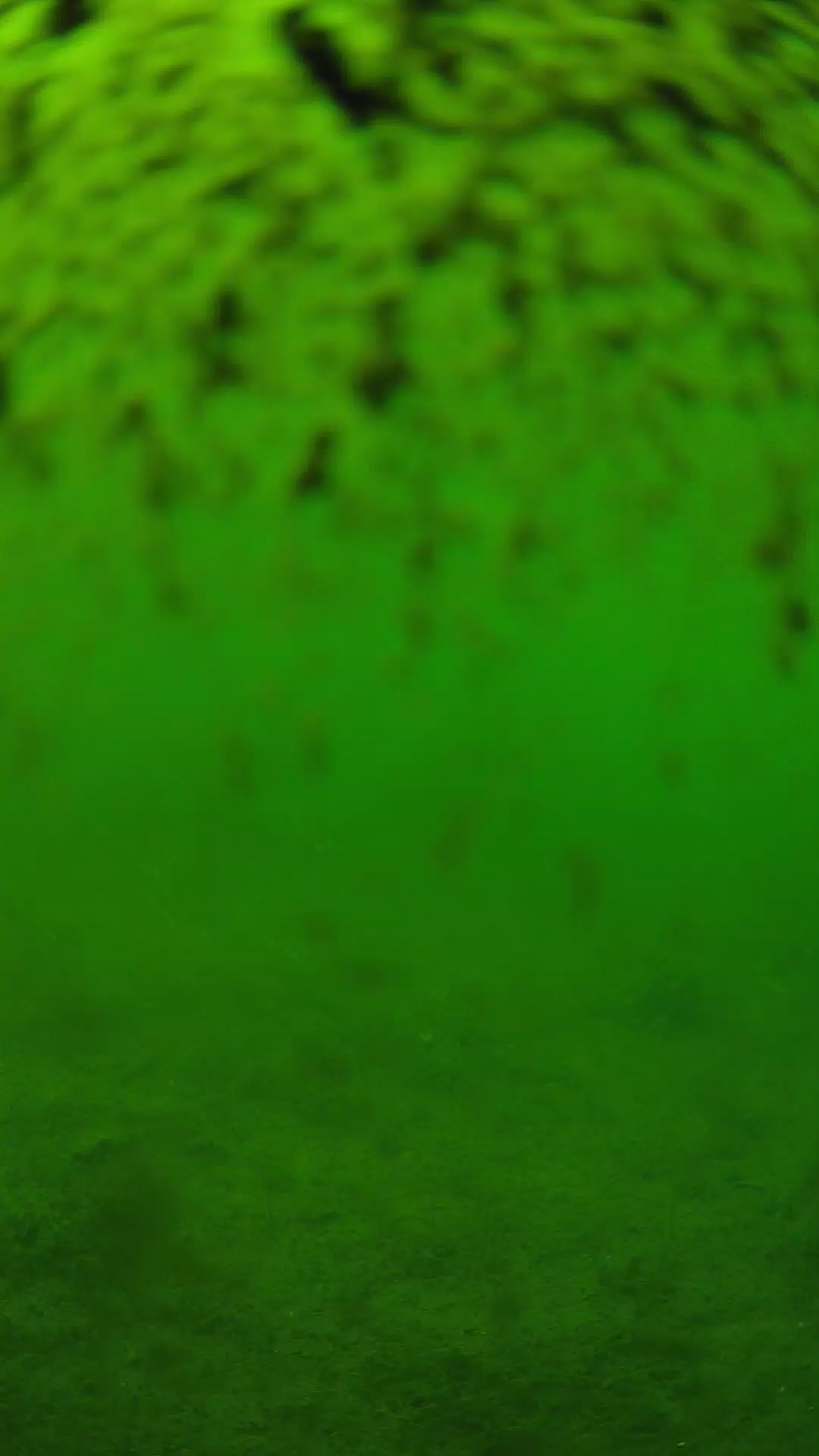 lander_ipcam_20240630140559.png
