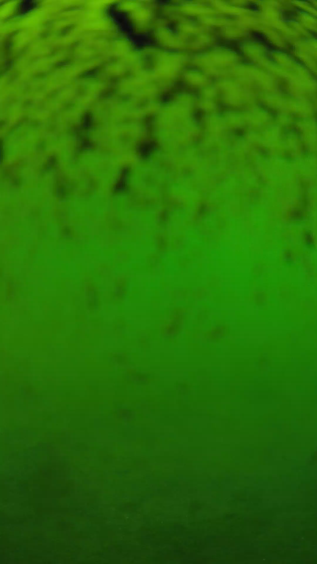 lander_ipcam_20240630150538.png