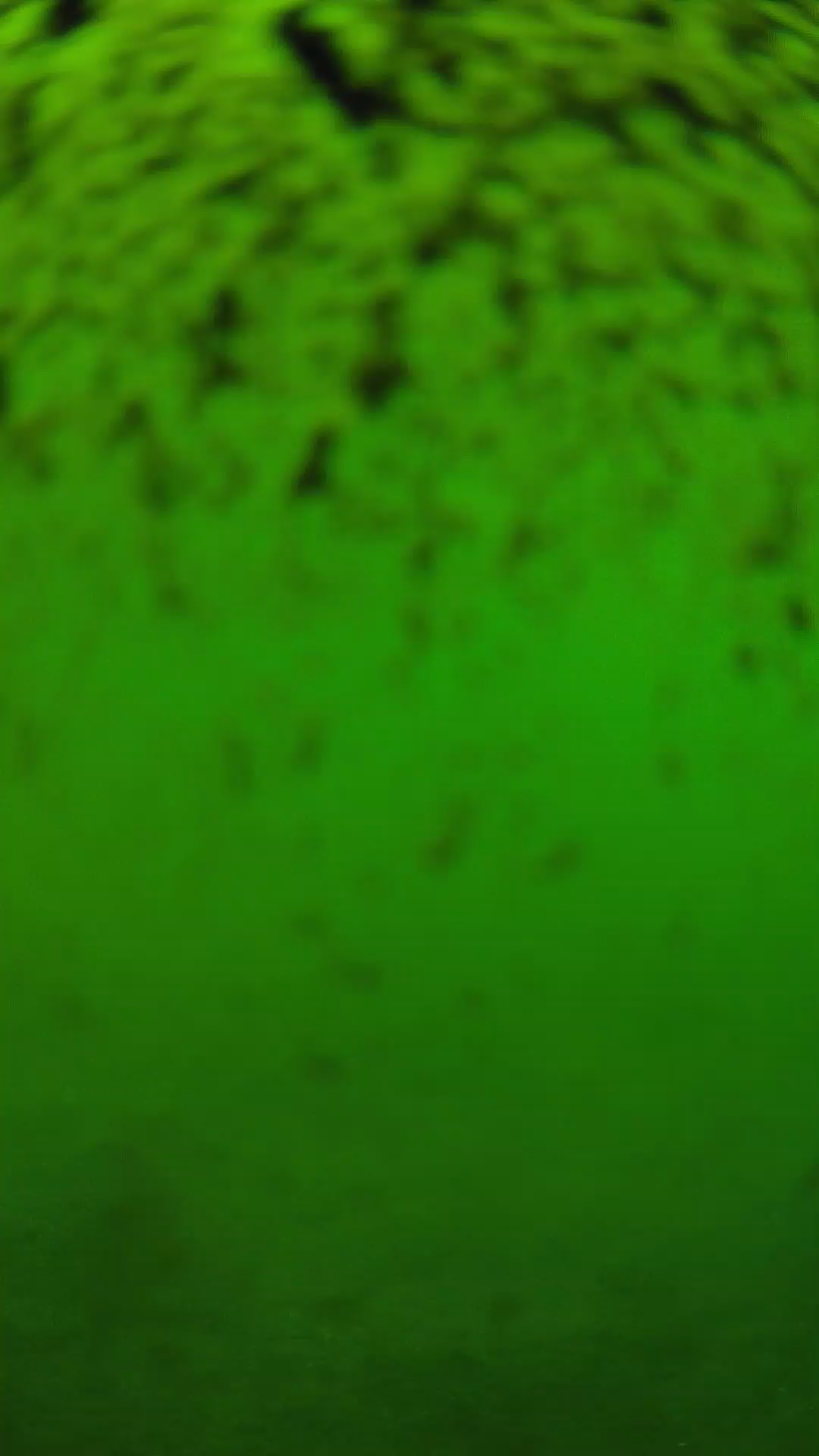 lander_ipcam_20240630150542.png