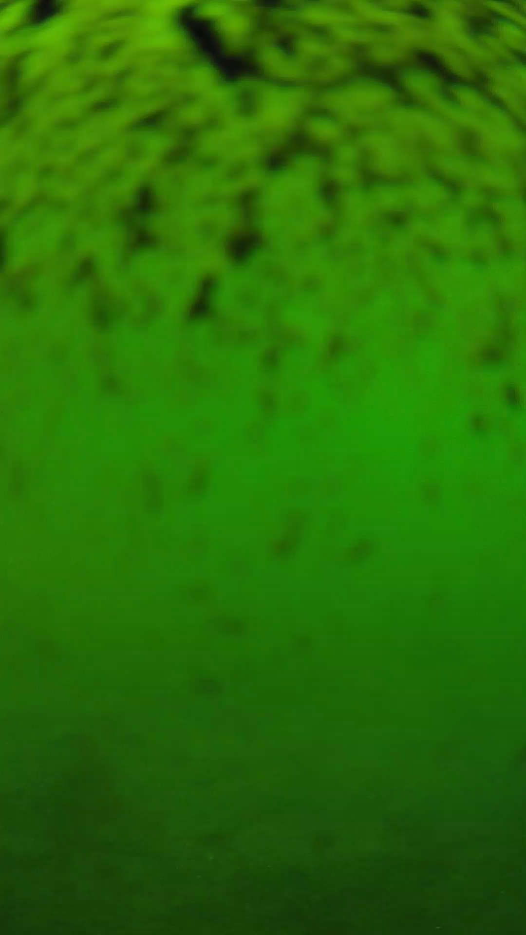 lander_ipcam_20240630150544.png