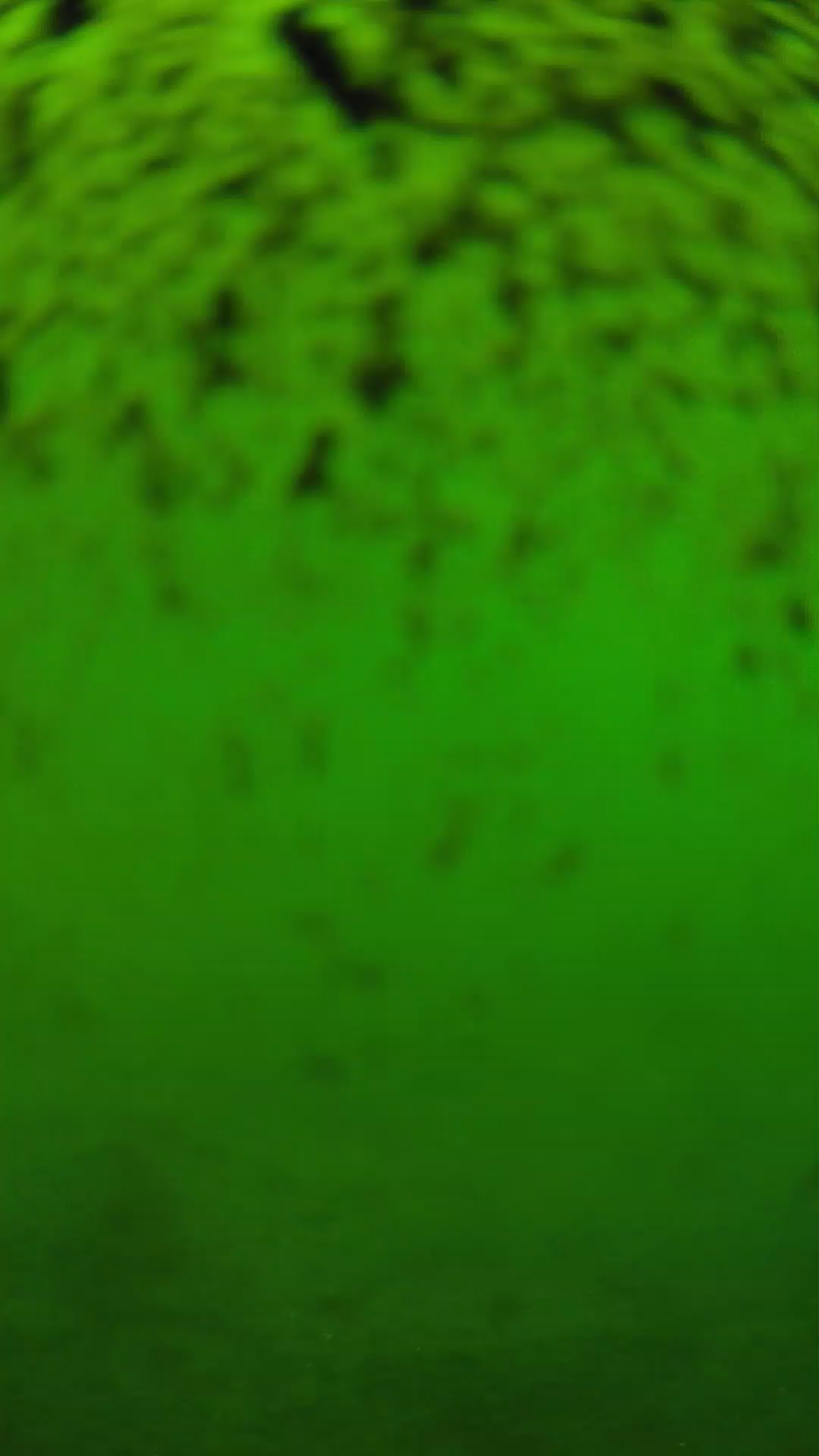 lander_ipcam_20240630150547.png