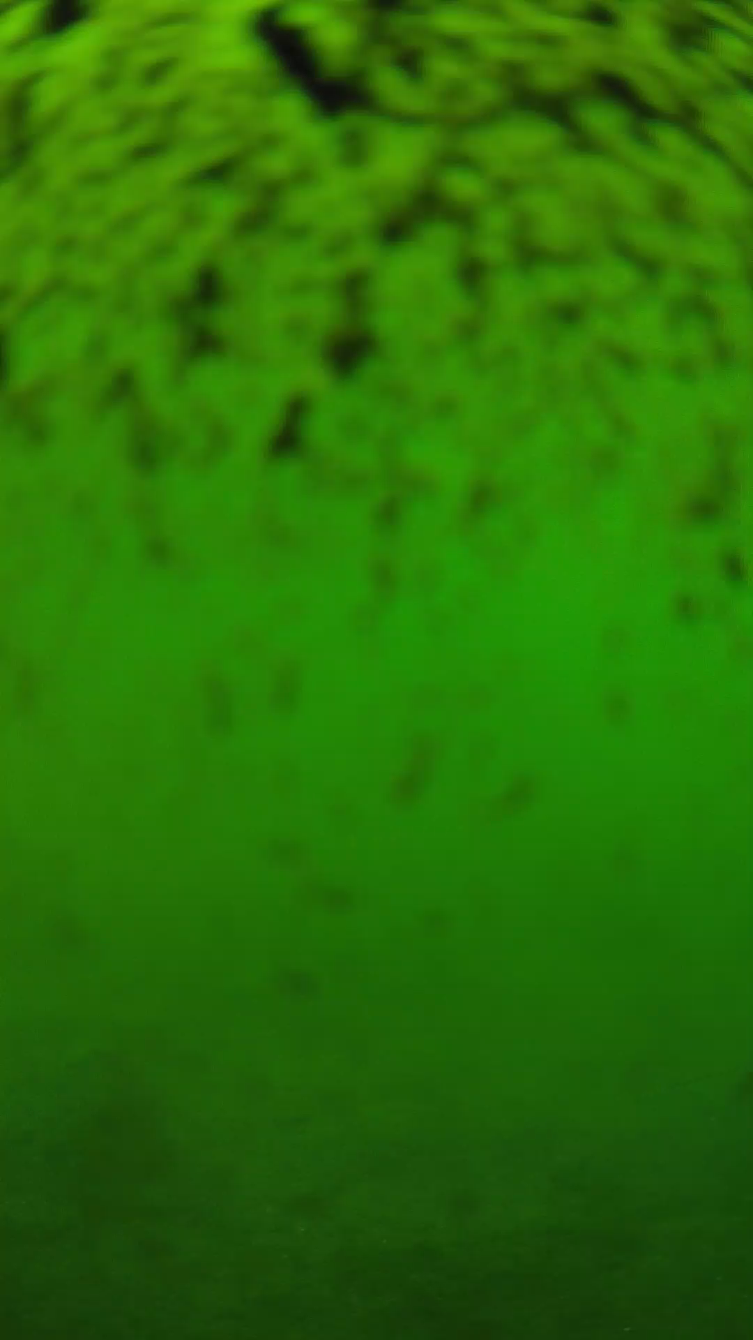lander_ipcam_20240630150558.png