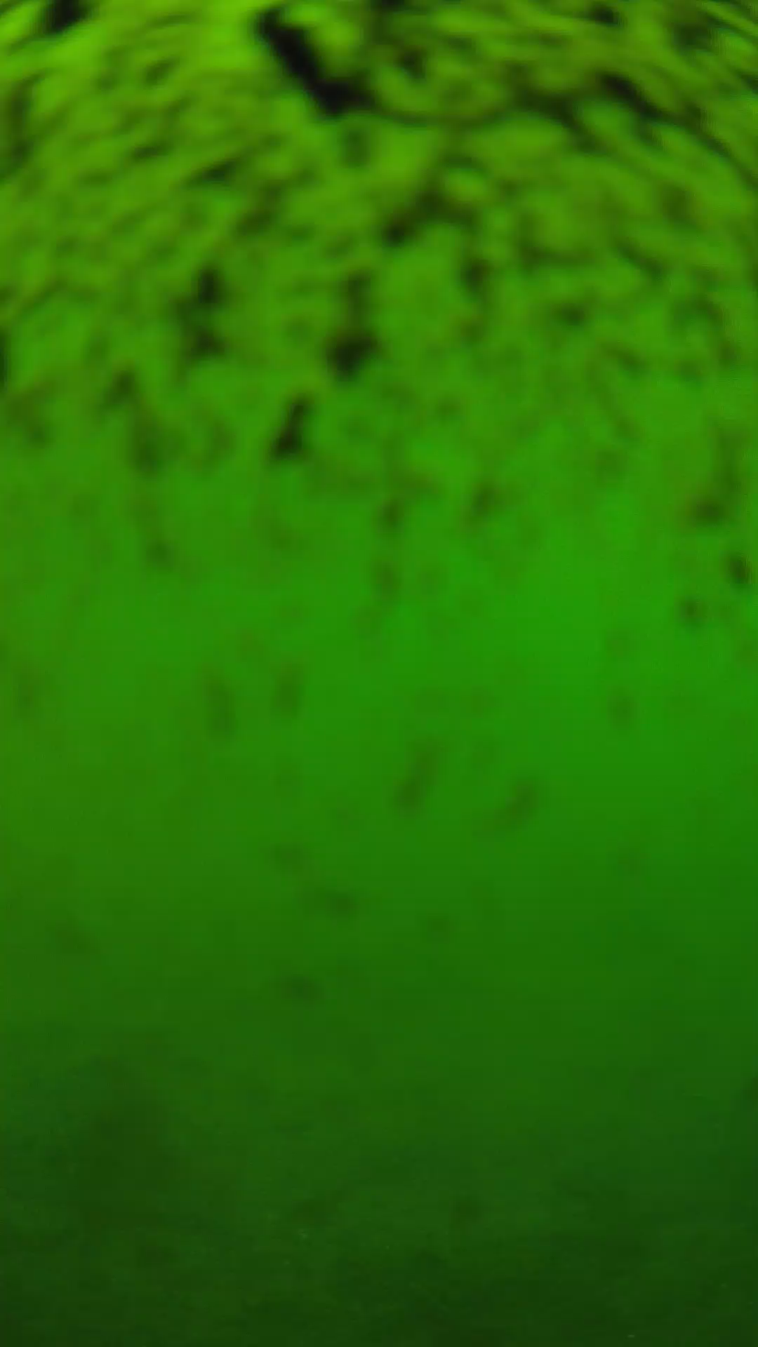 lander_ipcam_20240630150604.png