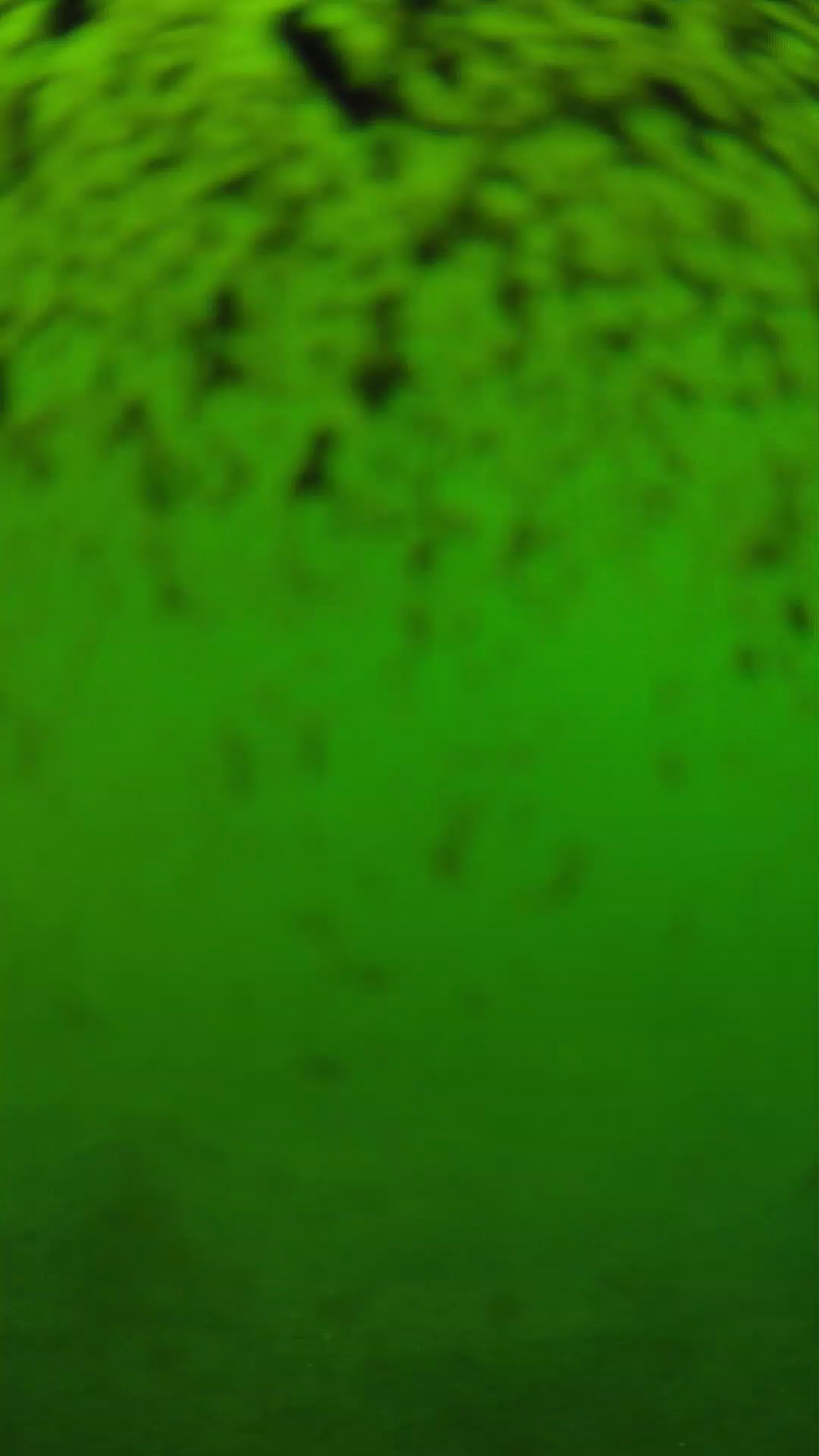 lander_ipcam_20240630150607.png