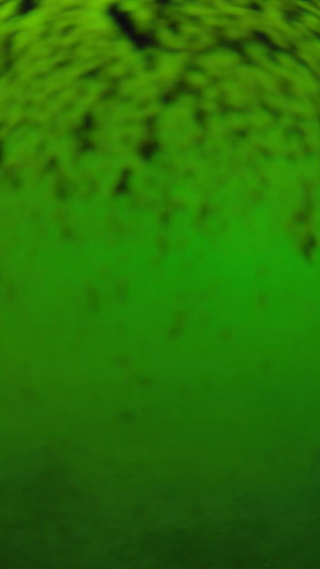 lander_ipcam_20240630153542.png