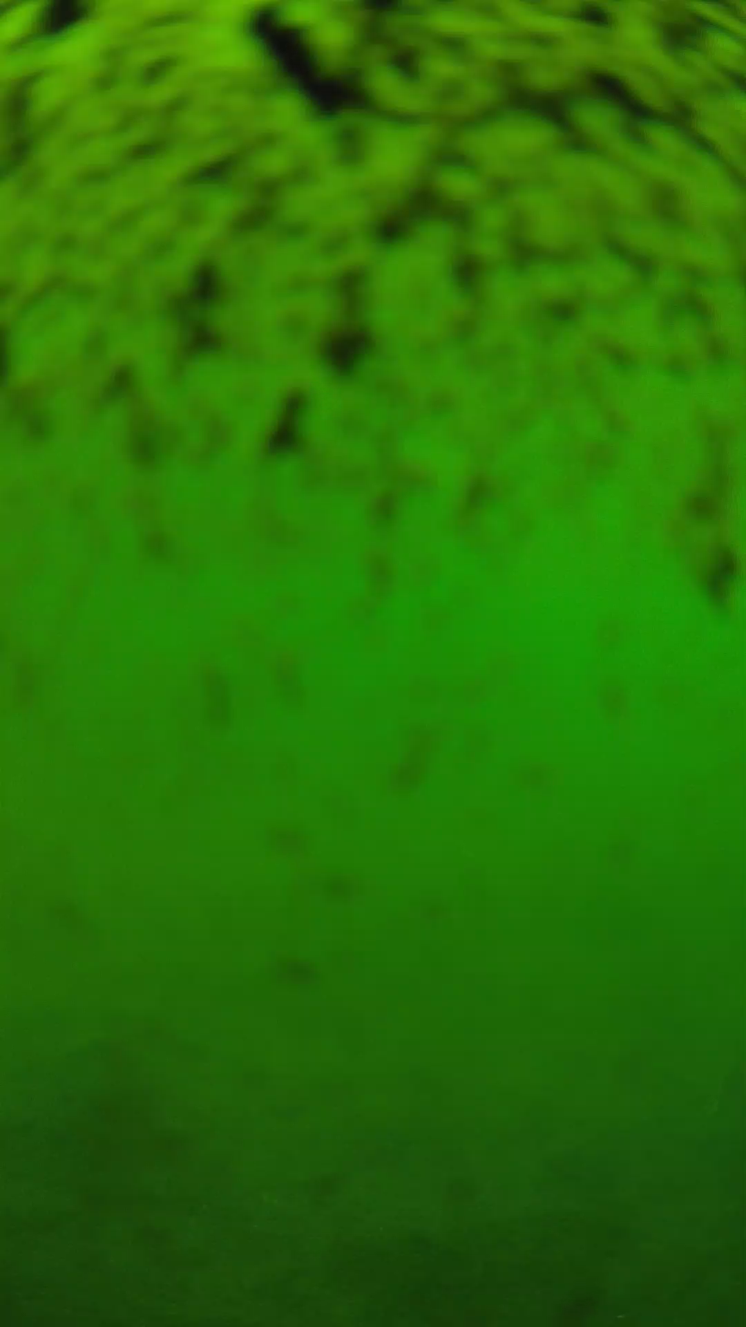 lander_ipcam_20240630153544.png