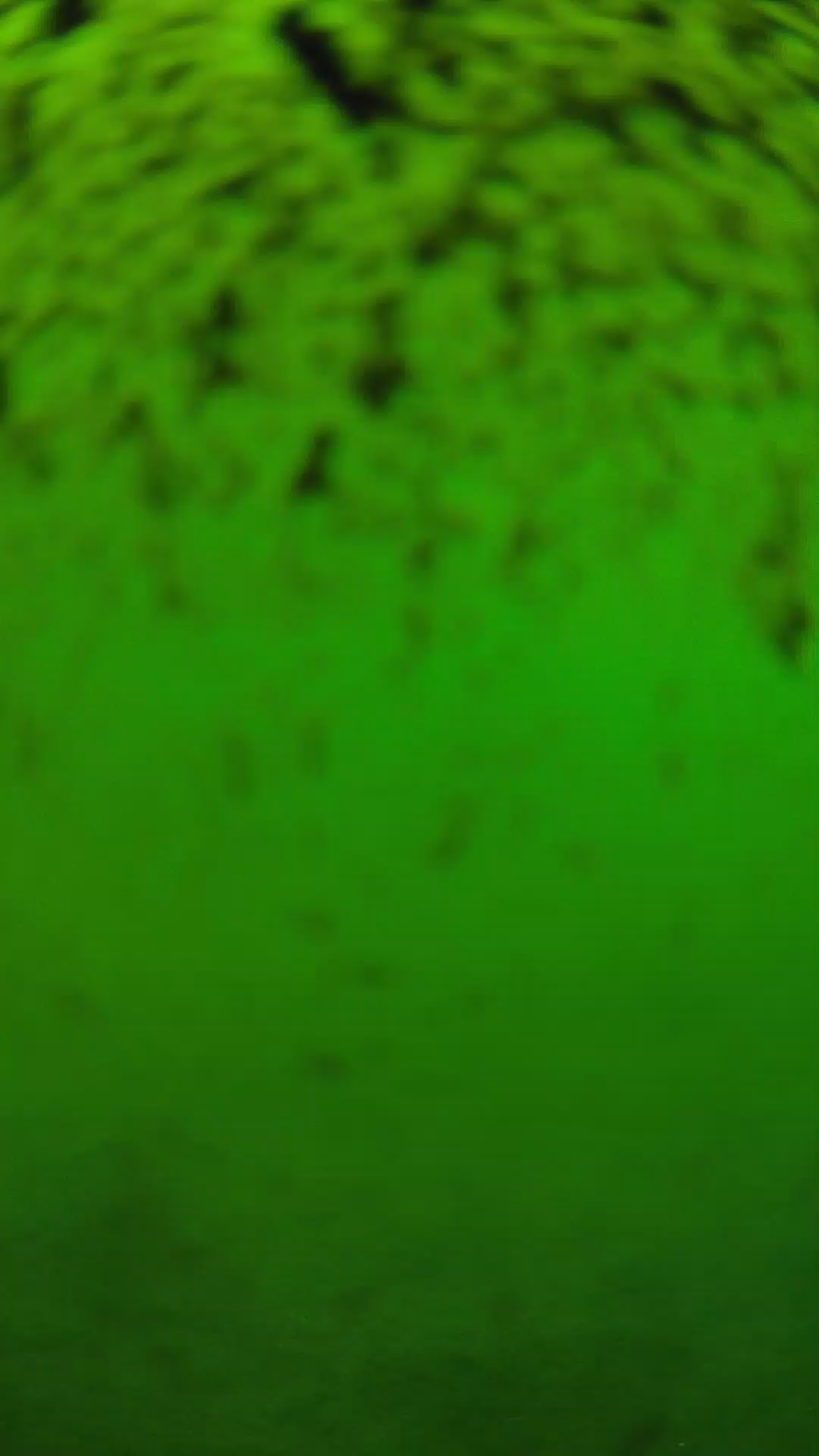 lander_ipcam_20240630153546.png