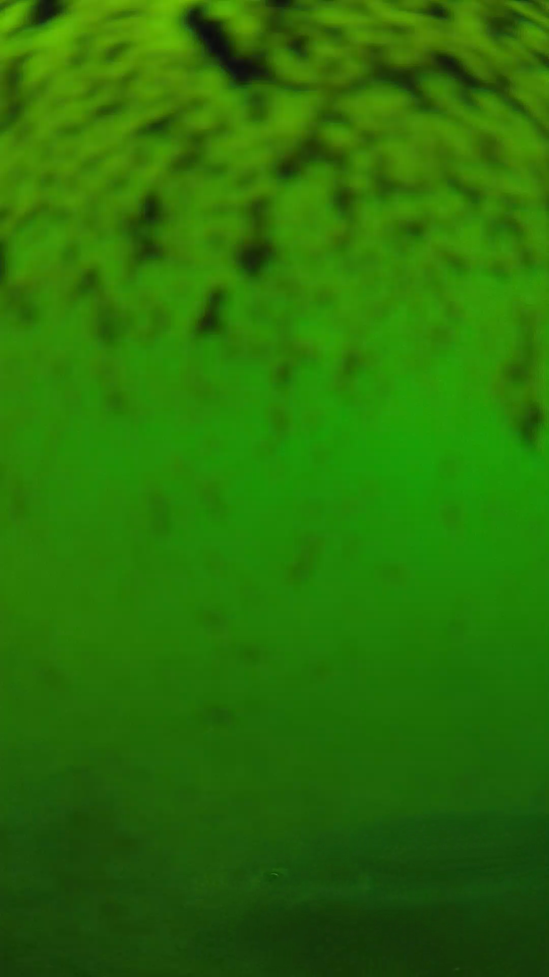 lander_ipcam_20240630153548.png