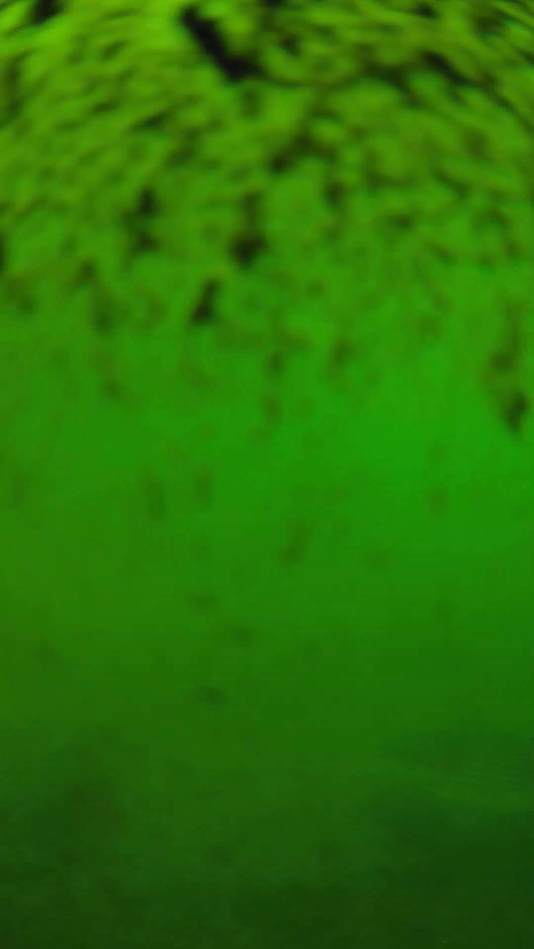 lander_ipcam_20240630153551.png