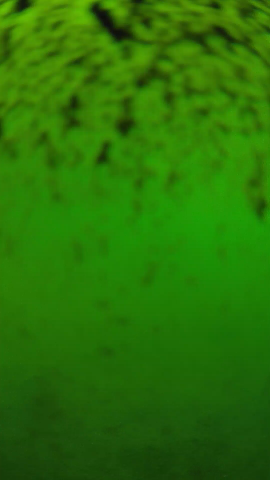 lander_ipcam_20240630153600.png