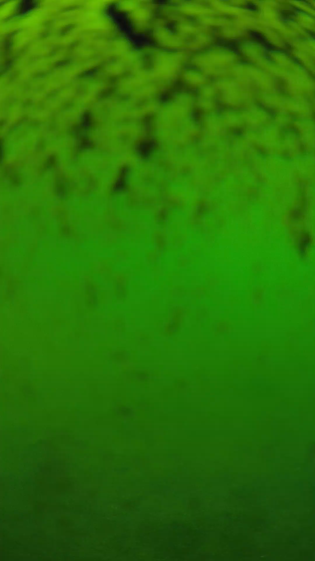 lander_ipcam_20240630153603.png