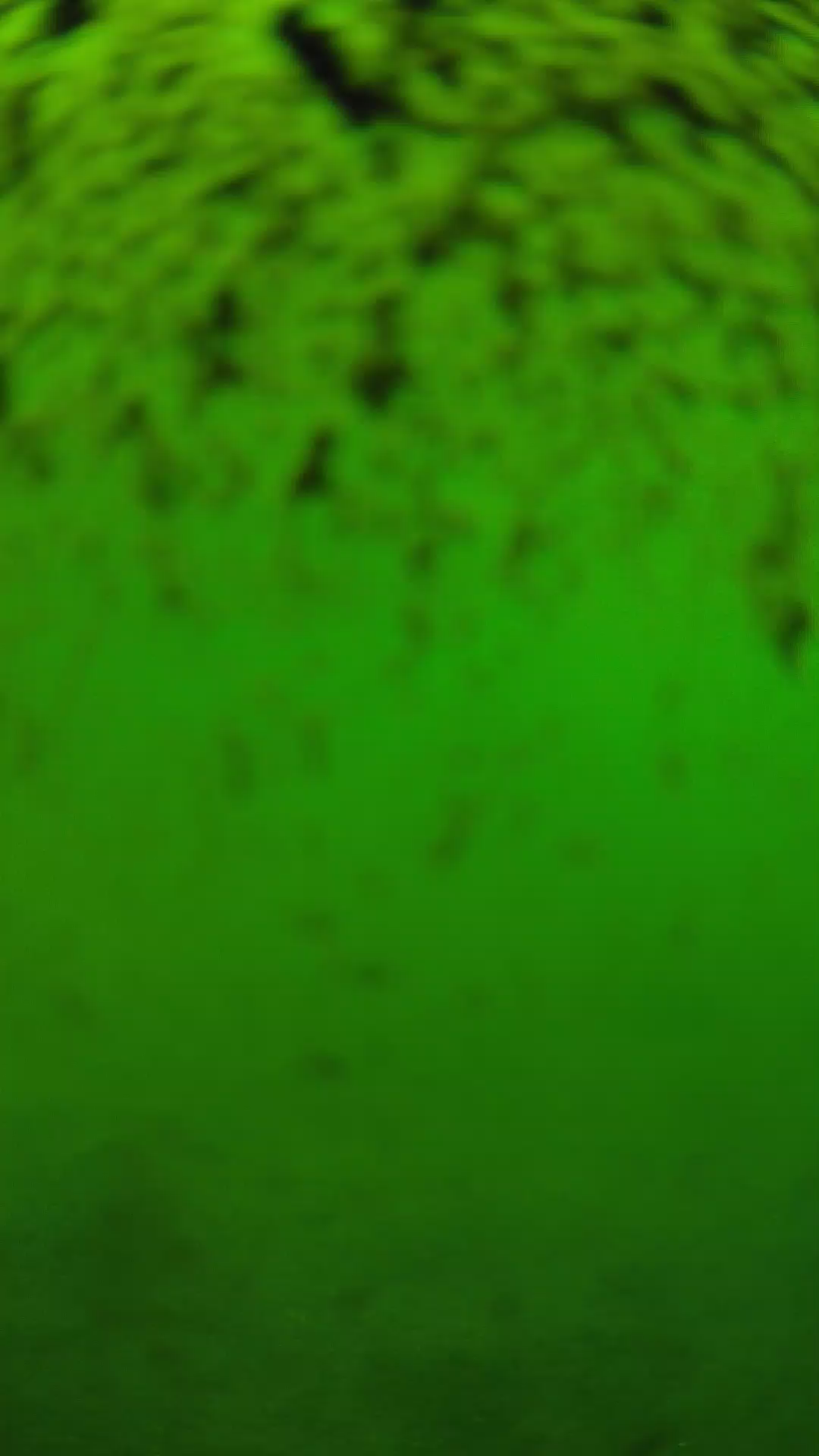 lander_ipcam_20240630153609.png