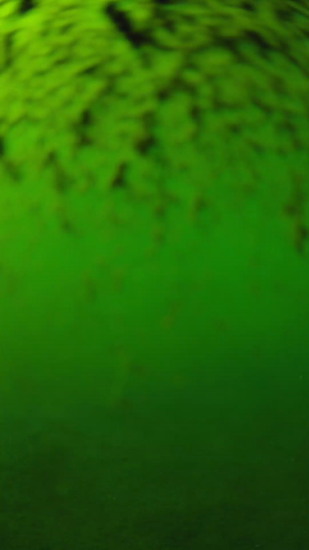 lander_ipcam_20240630163544.png