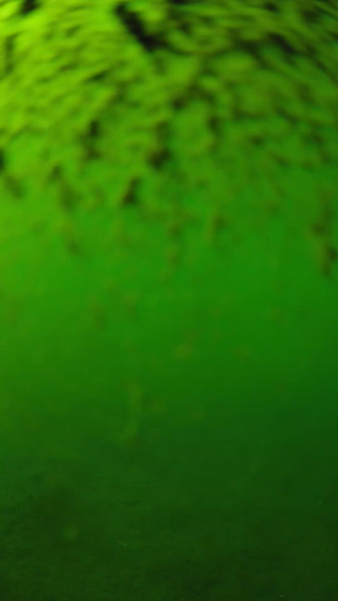 lander_ipcam_20240630163552.png
