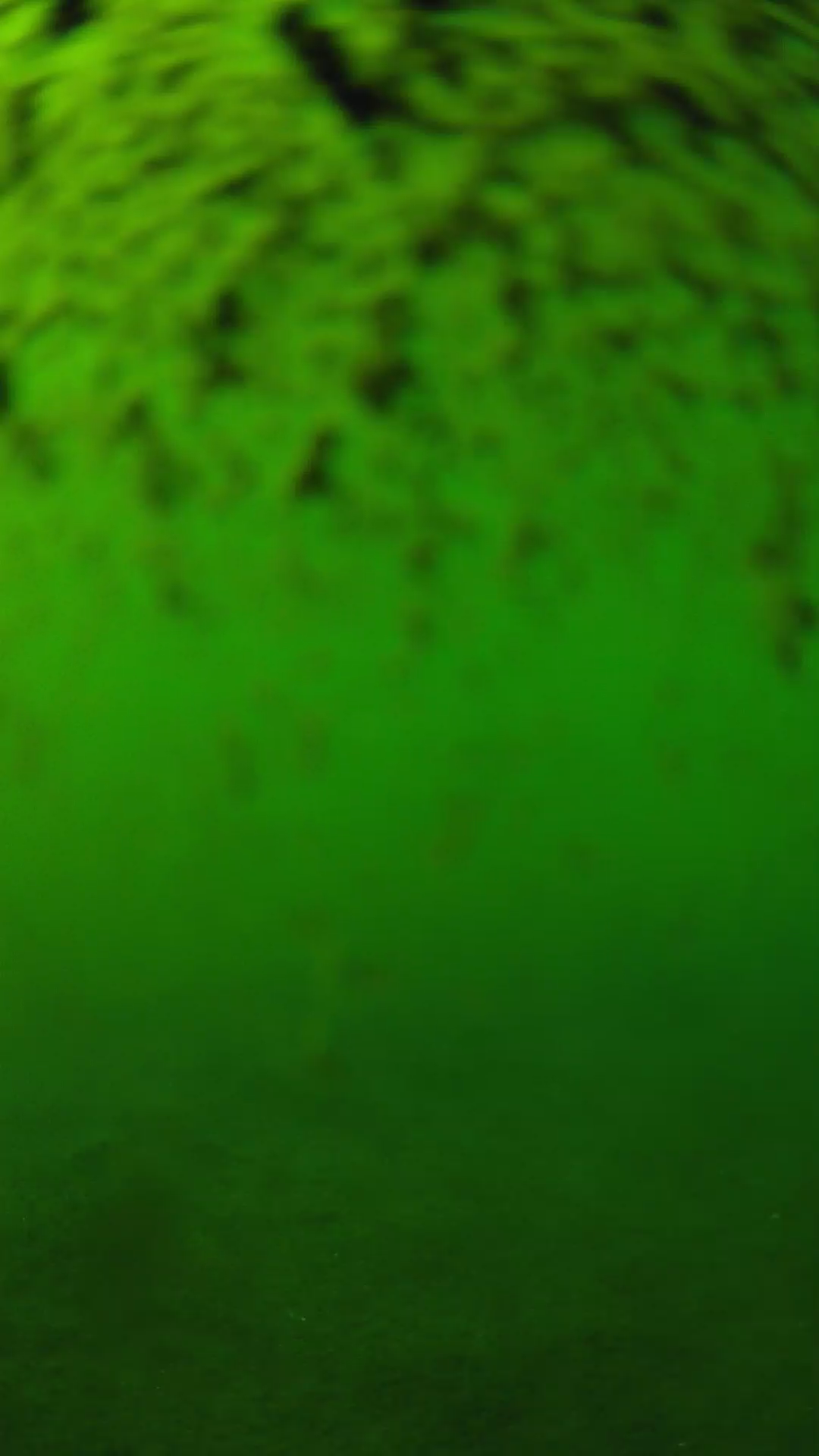 lander_ipcam_20240630163603.png