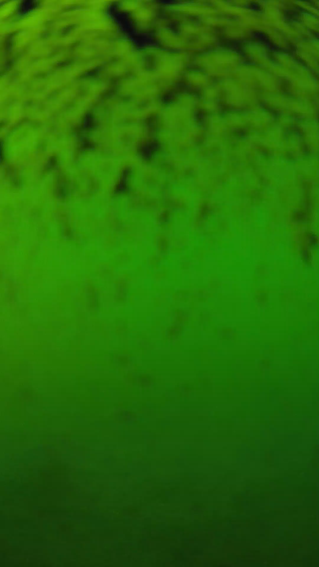 lander_ipcam_20240630170538.png
