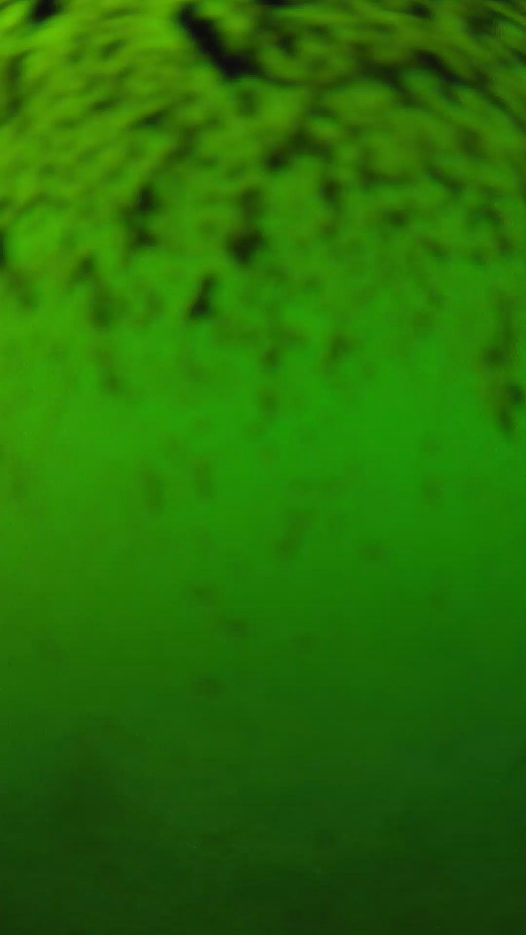 lander_ipcam_20240630170550.png