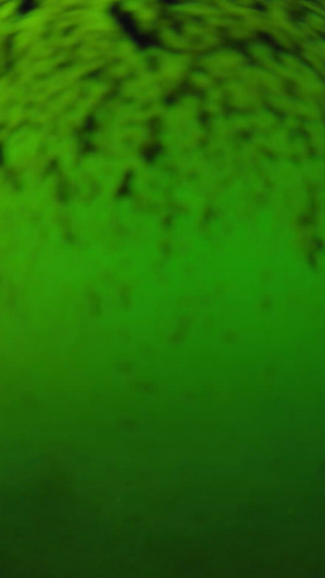 lander_ipcam_20240630170558.png