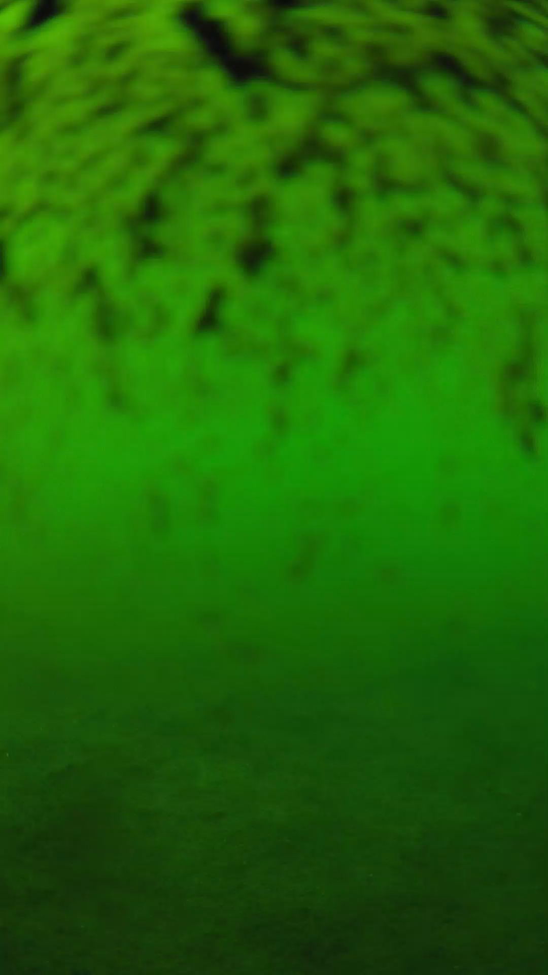 lander_ipcam_20240630173606.png