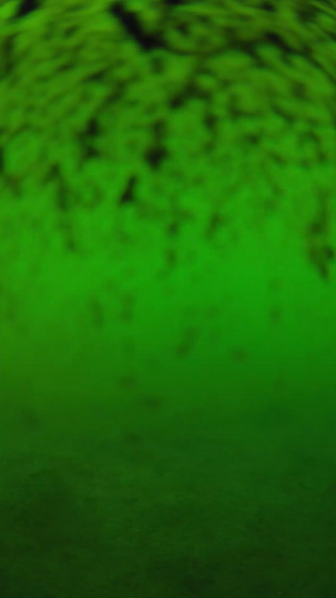 lander_ipcam_20240630180538.png