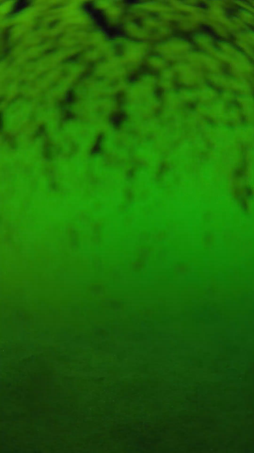 lander_ipcam_20240630180543.png