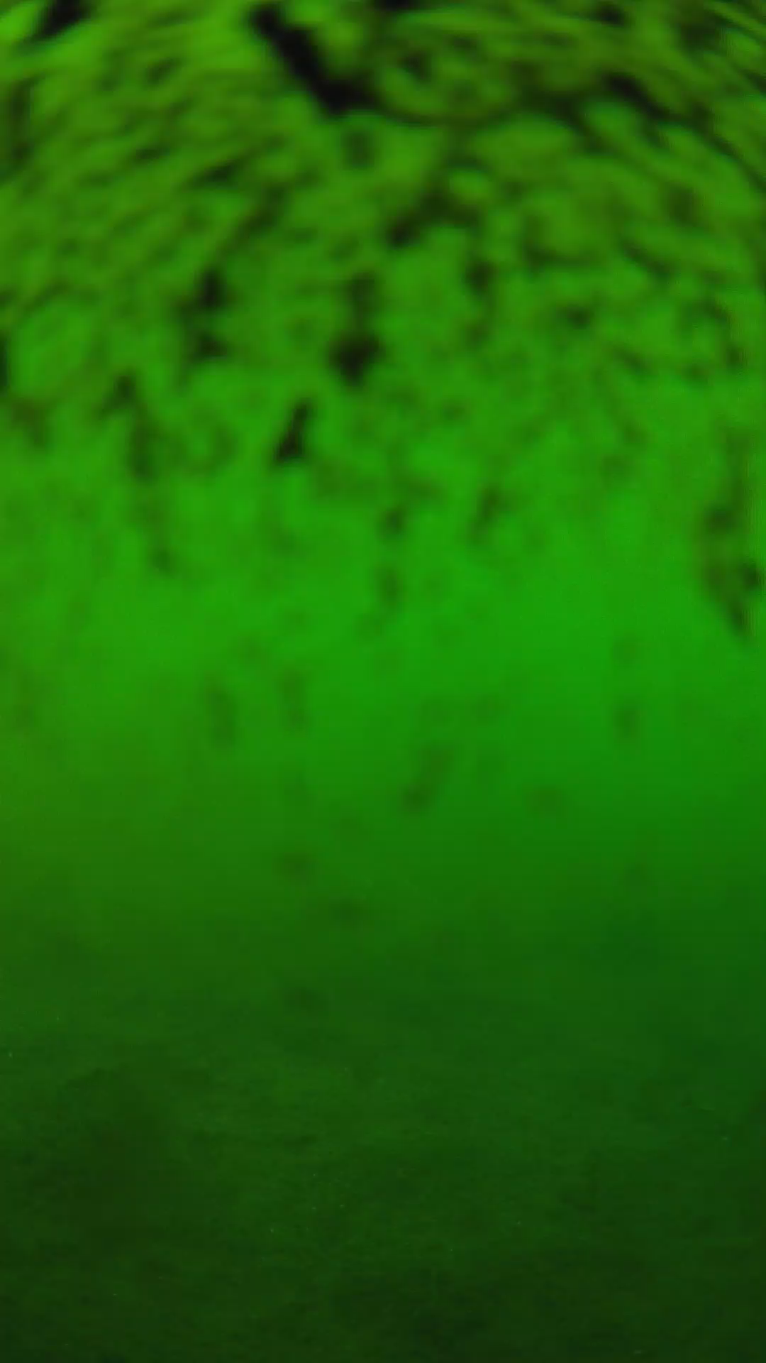 lander_ipcam_20240630180550.png