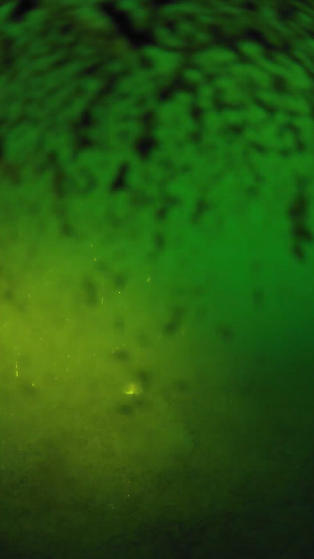 lander_ipcam_20240630200551.png