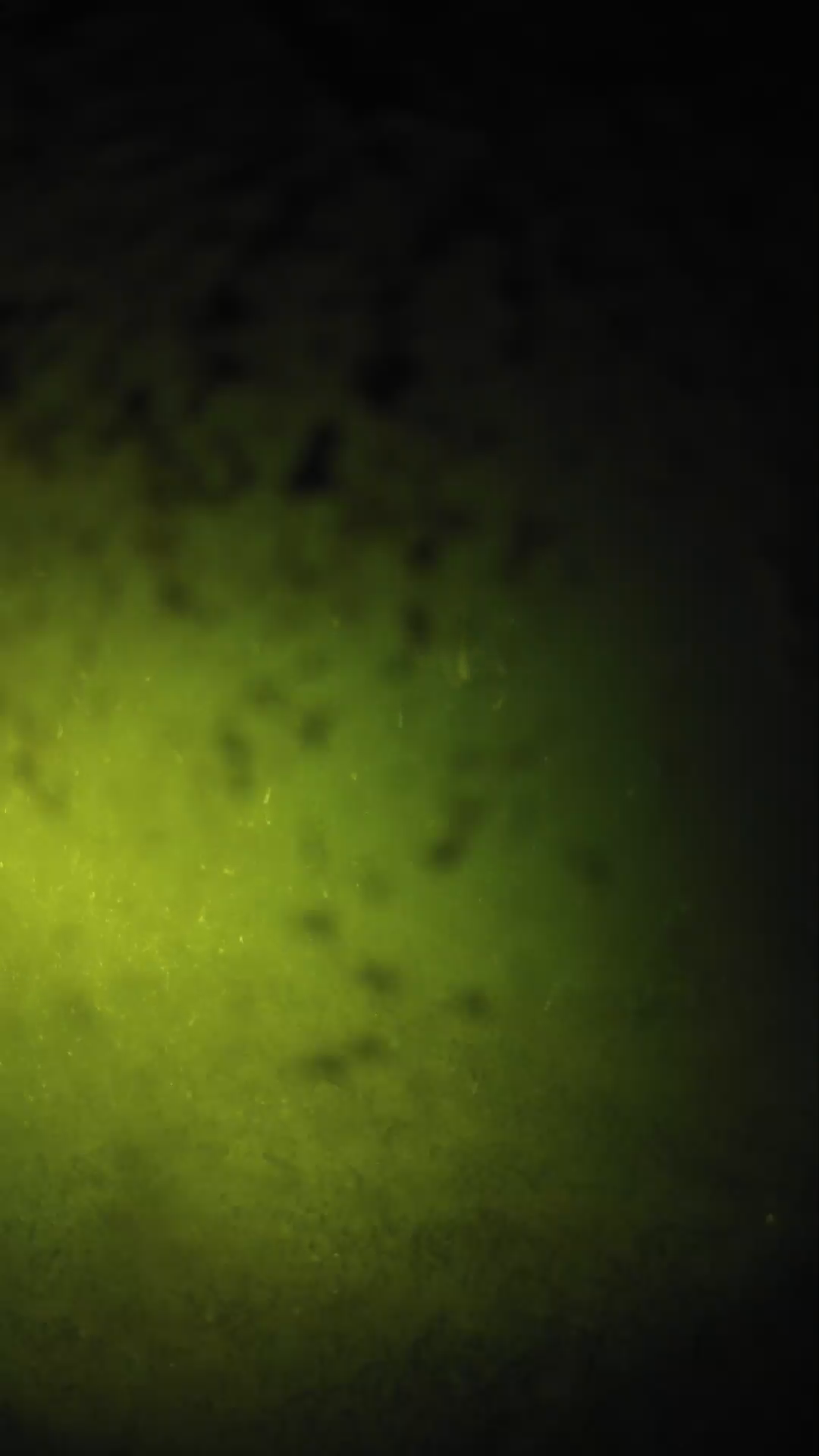 lander_ipcam_20240630210543.png