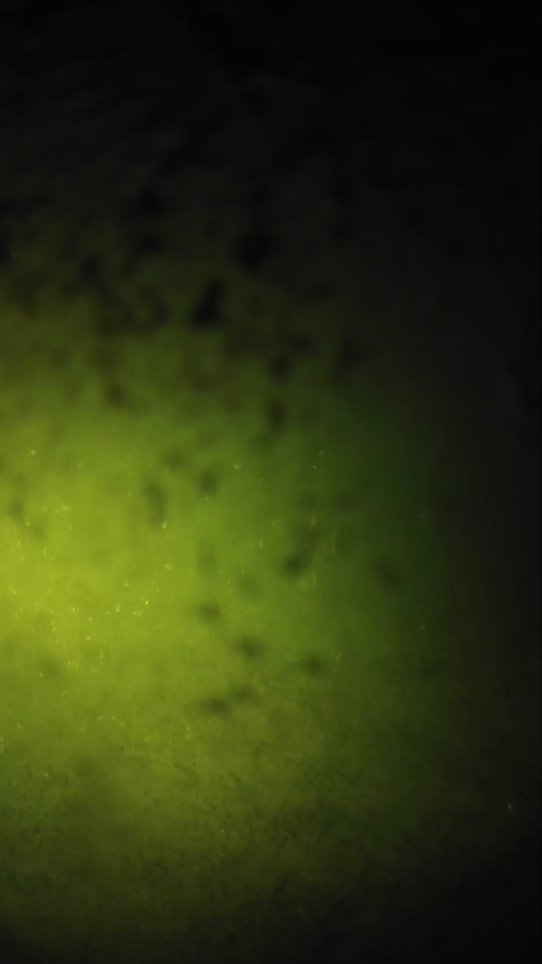 lander_ipcam_20240630210546.png