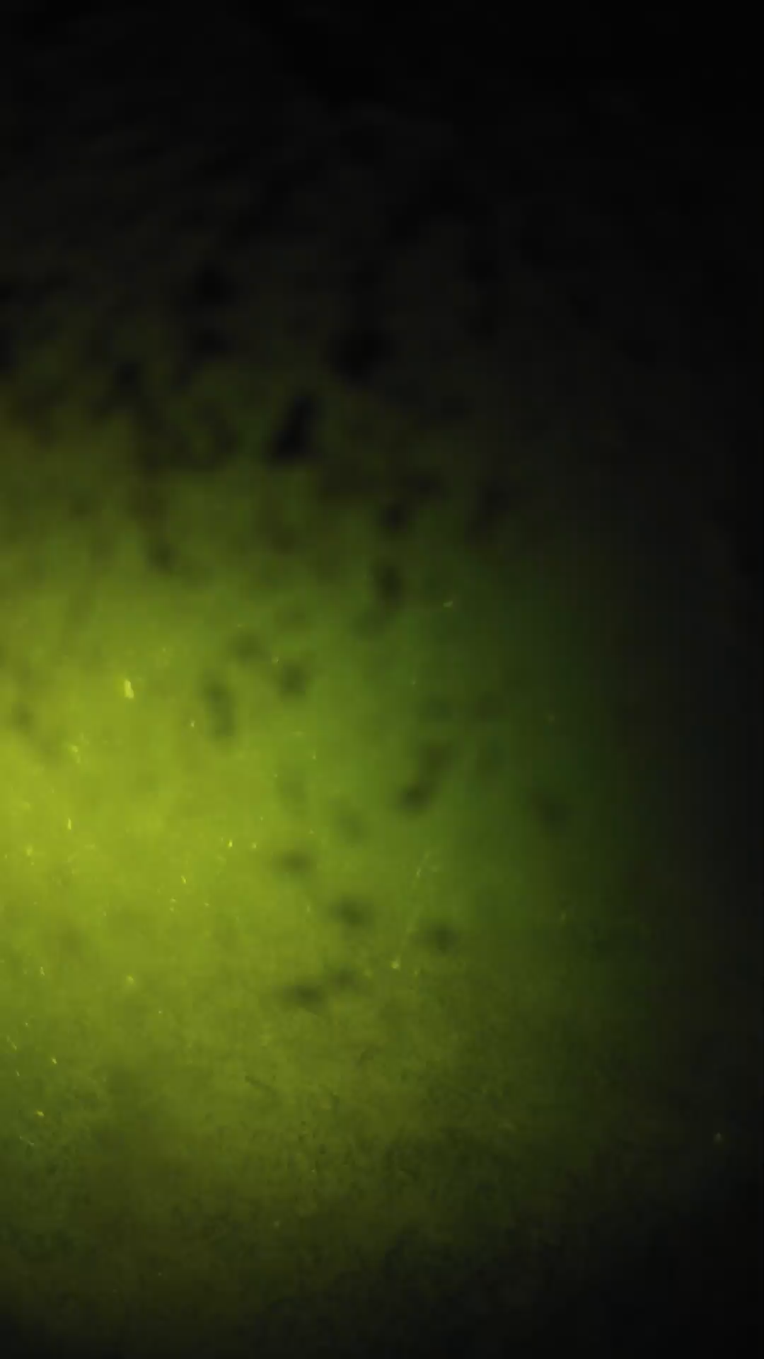 lander_ipcam_20240630210551.png