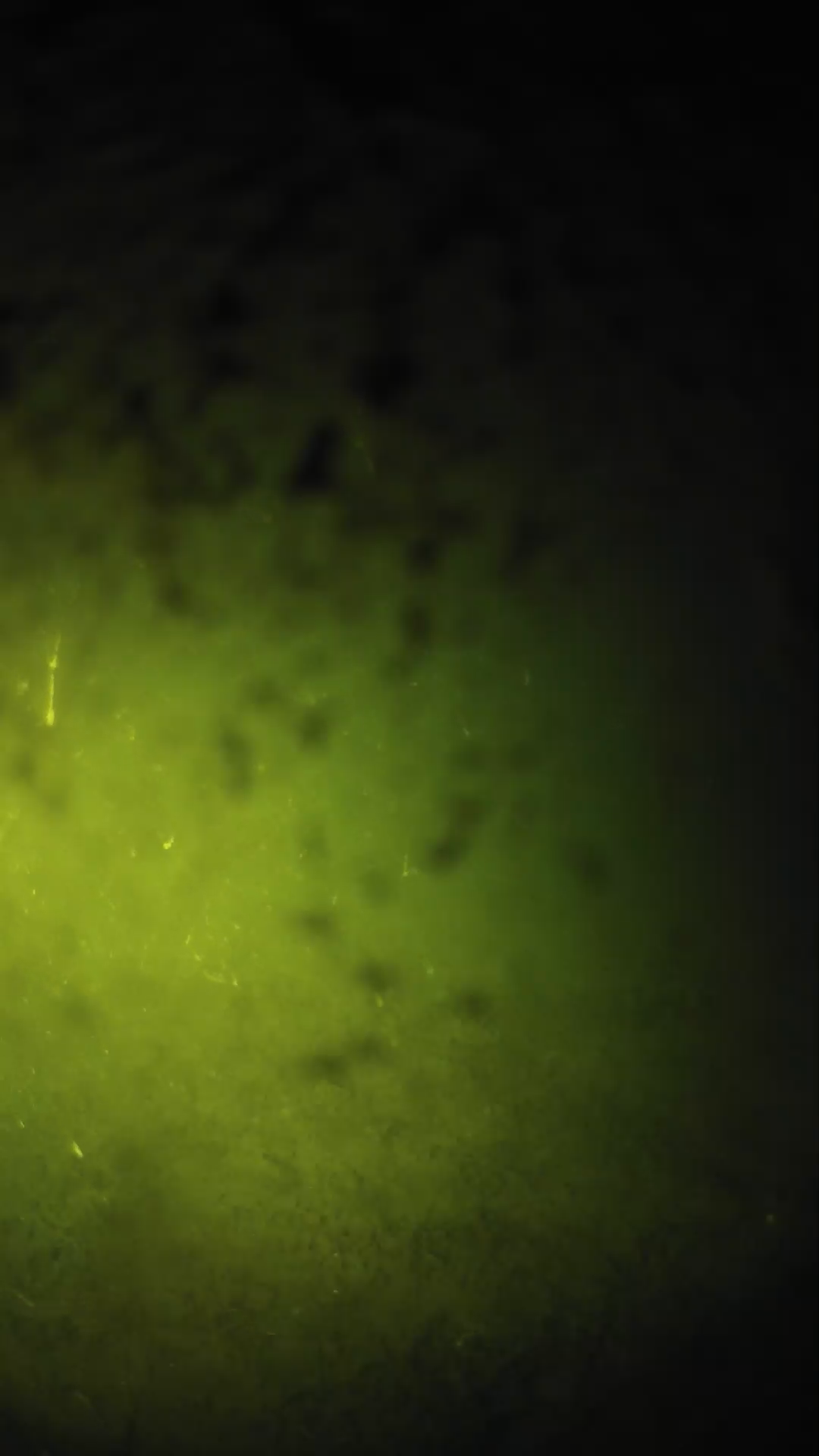 lander_ipcam_20240630210559.png