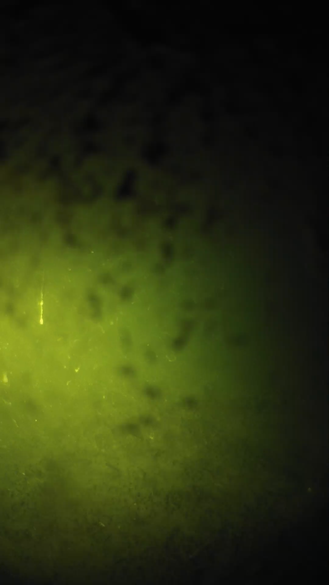 lander_ipcam_20240630210603.png