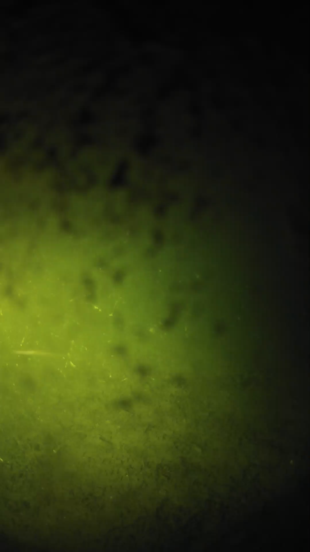 lander_ipcam_20240630213544.png