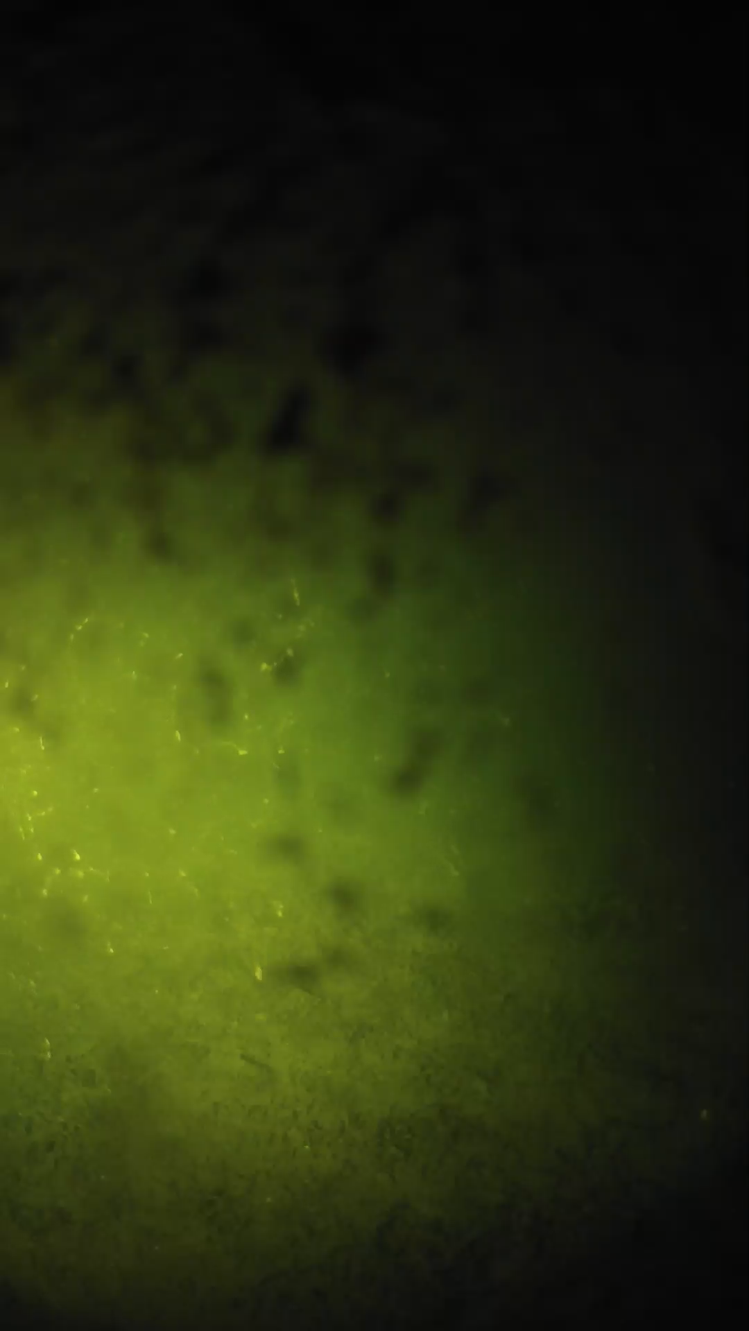lander_ipcam_20240630213551.png