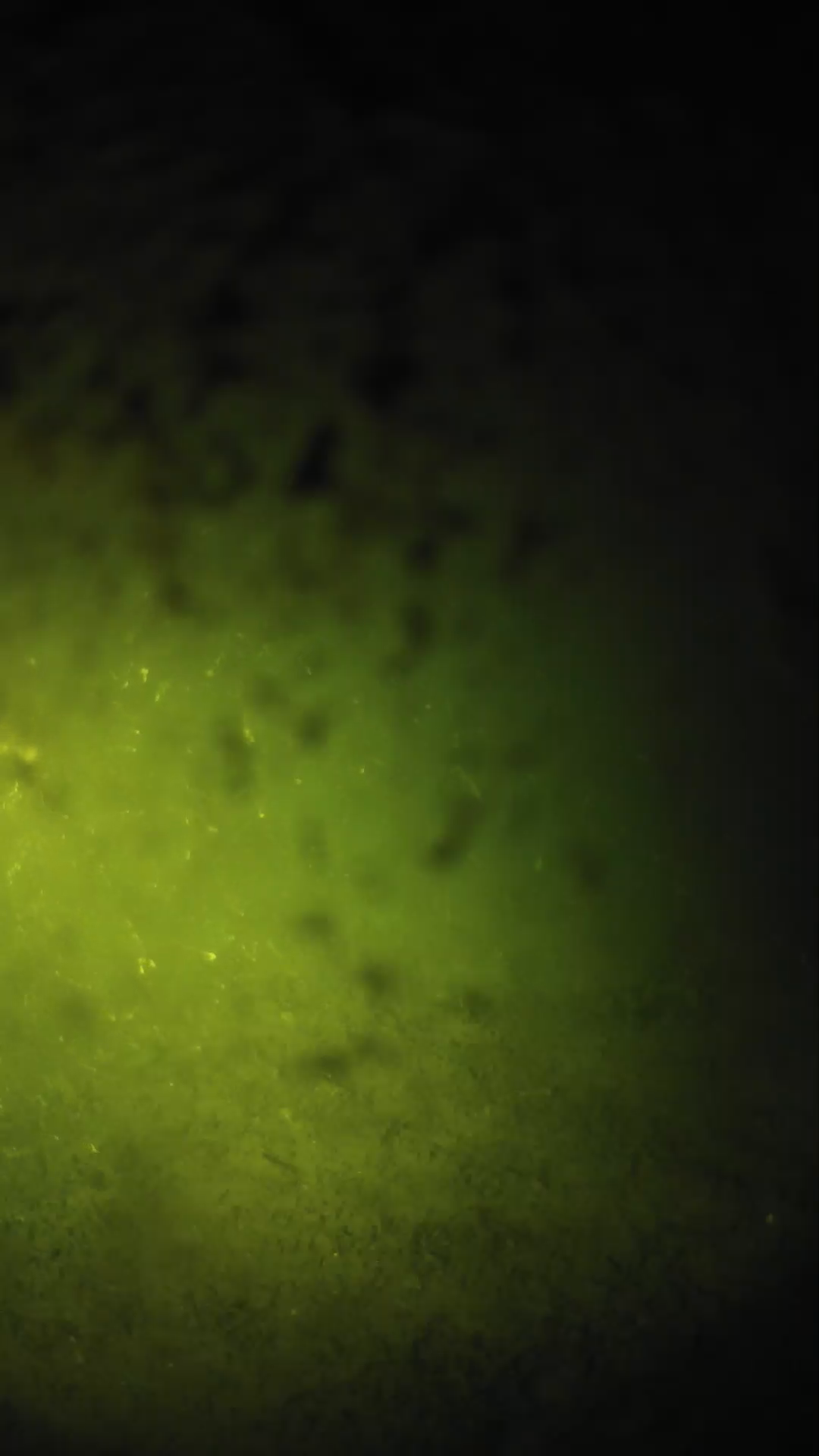 lander_ipcam_20240630213602.png