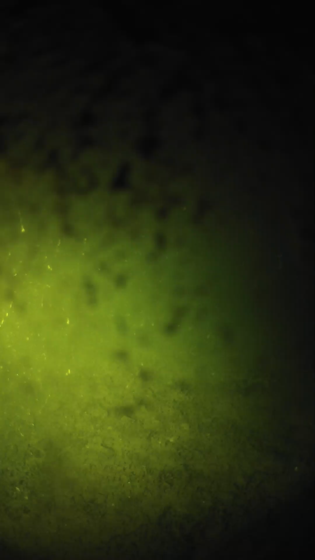 lander_ipcam_20240630220546.png