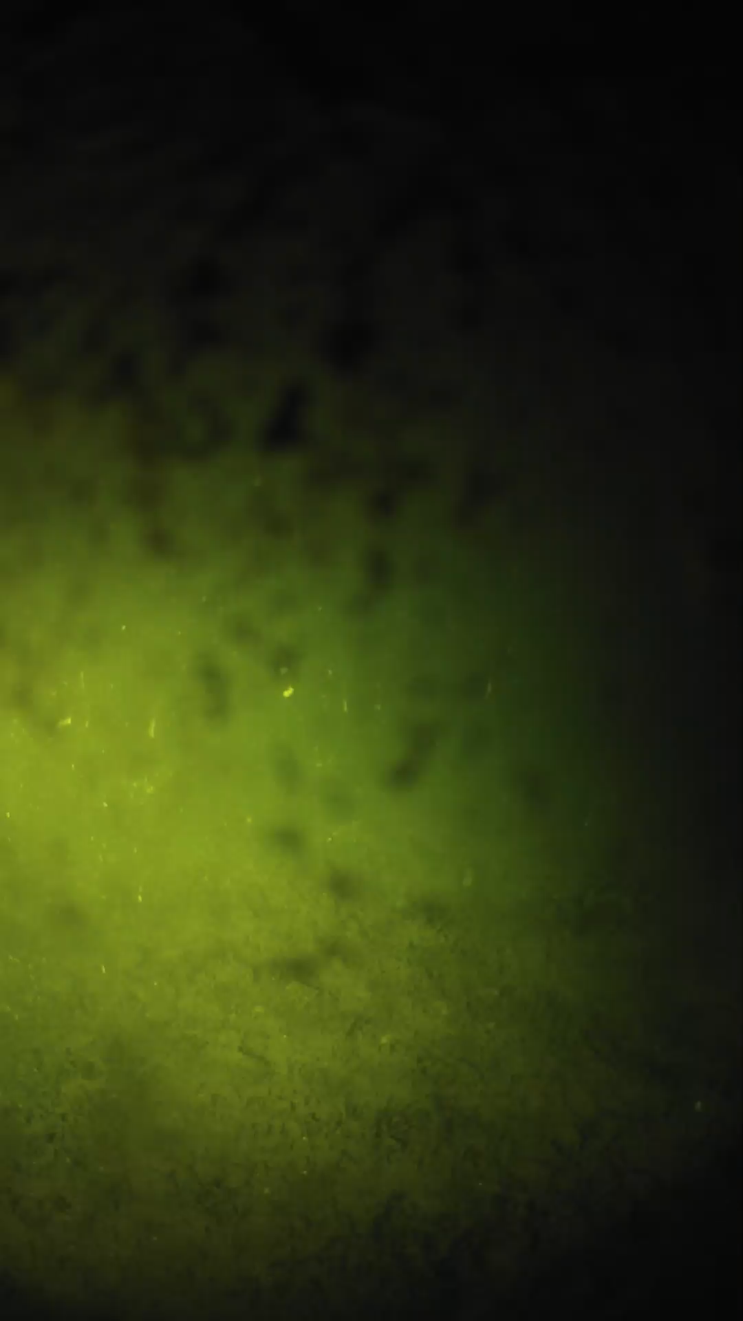 lander_ipcam_20240630220605.png