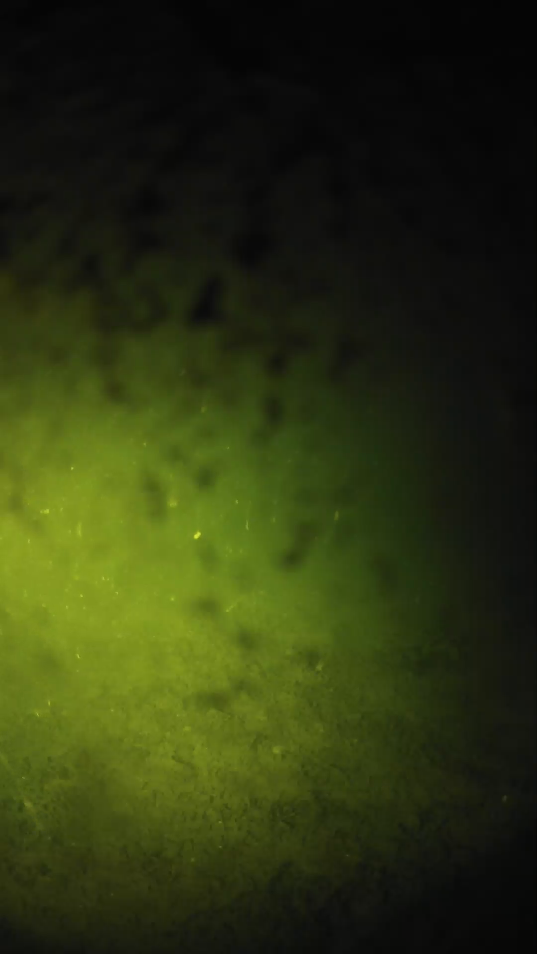 lander_ipcam_20240630220608.png