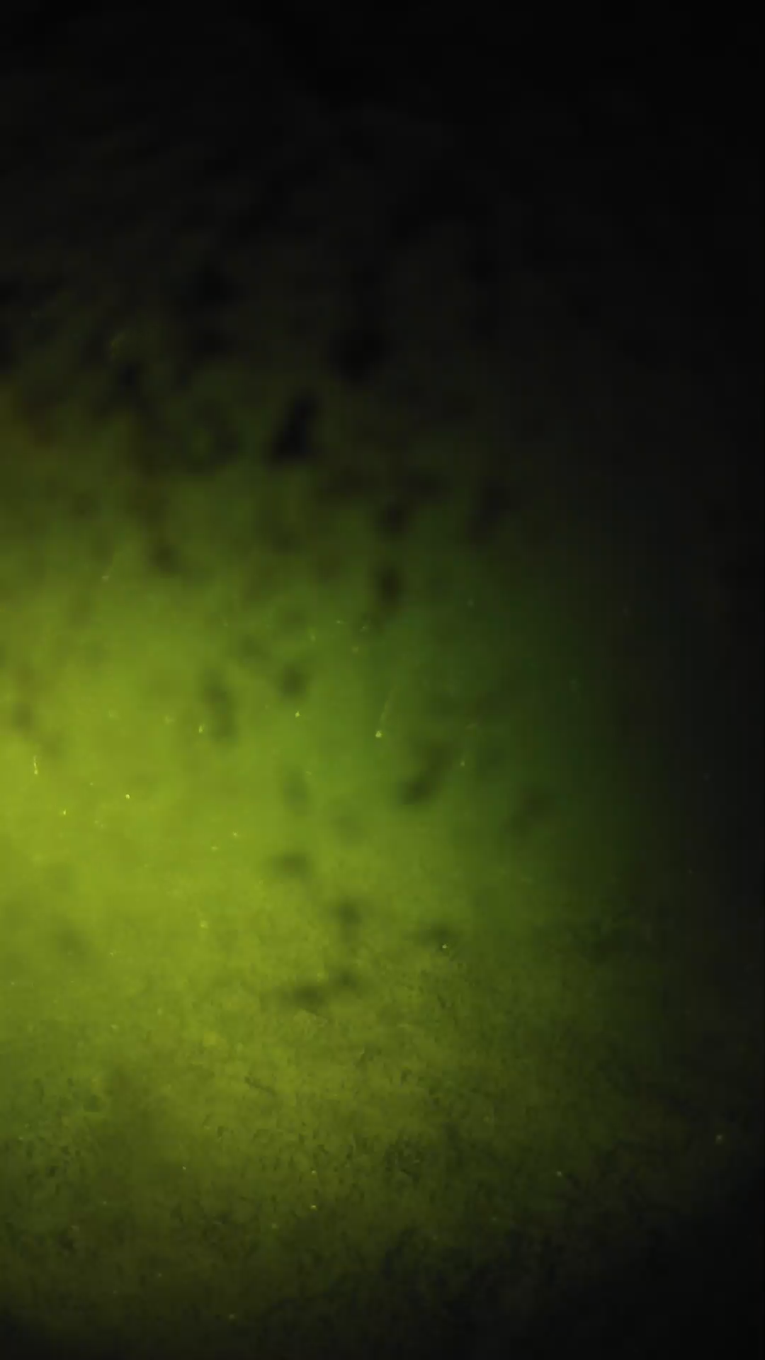 lander_ipcam_20240630223608.png