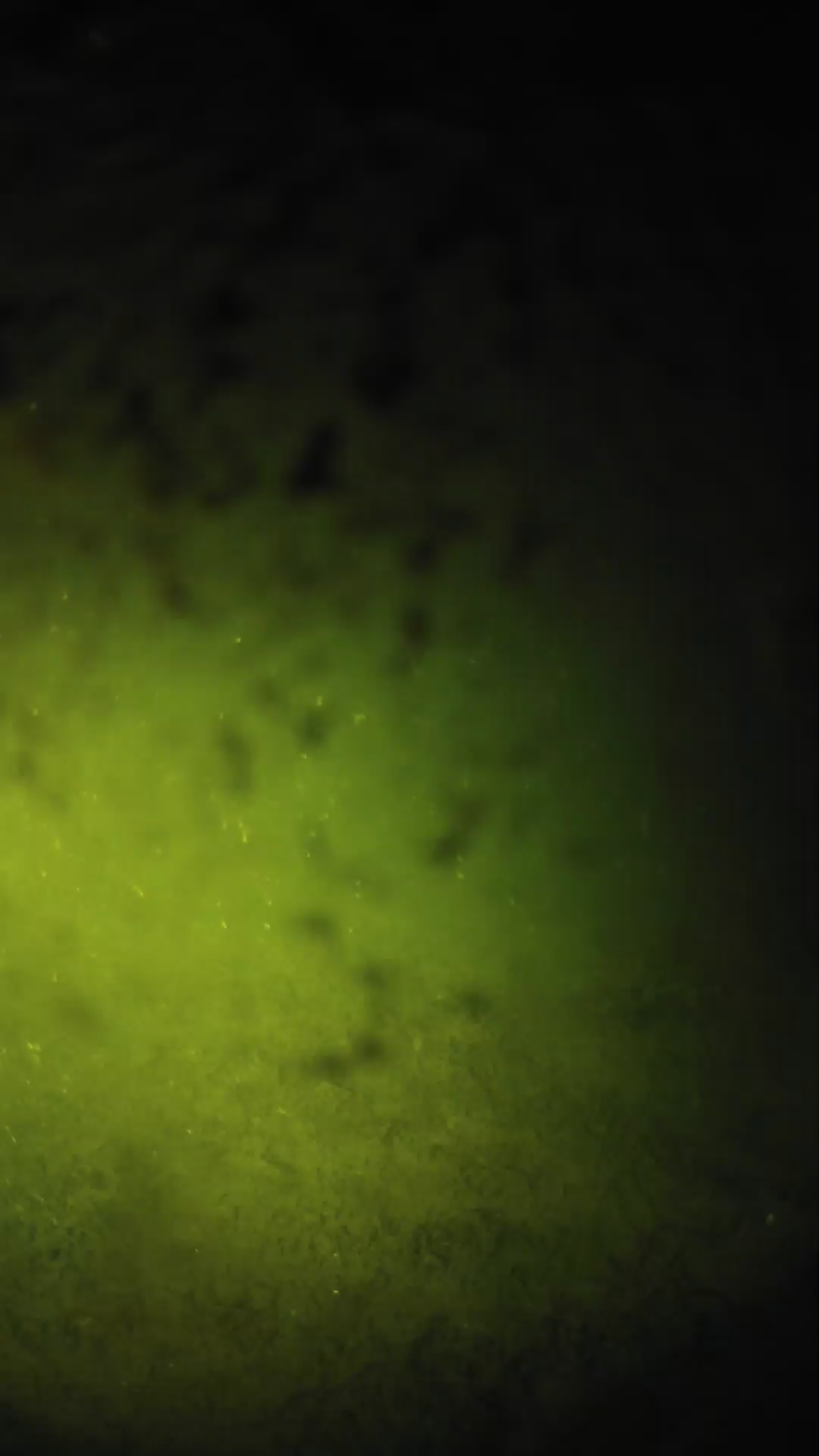 lander_ipcam_20240630230538.png