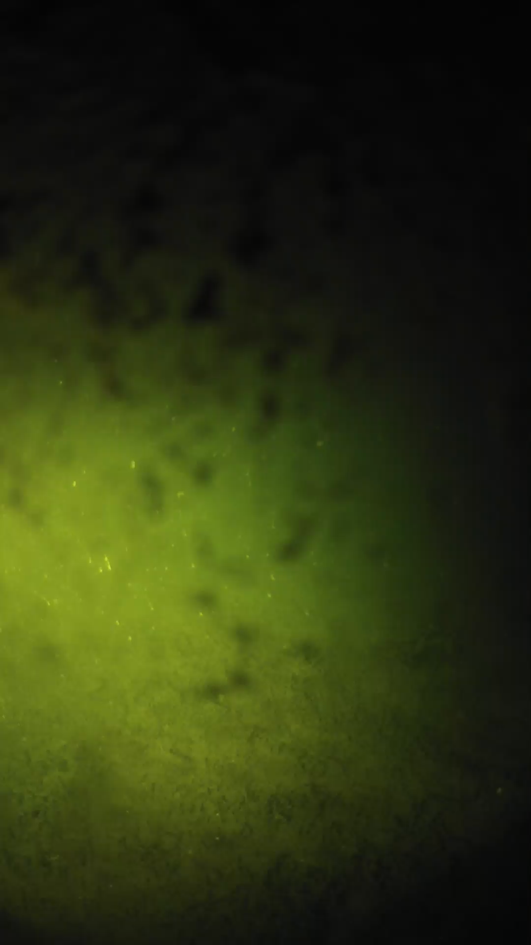 lander_ipcam_20240630230551.png