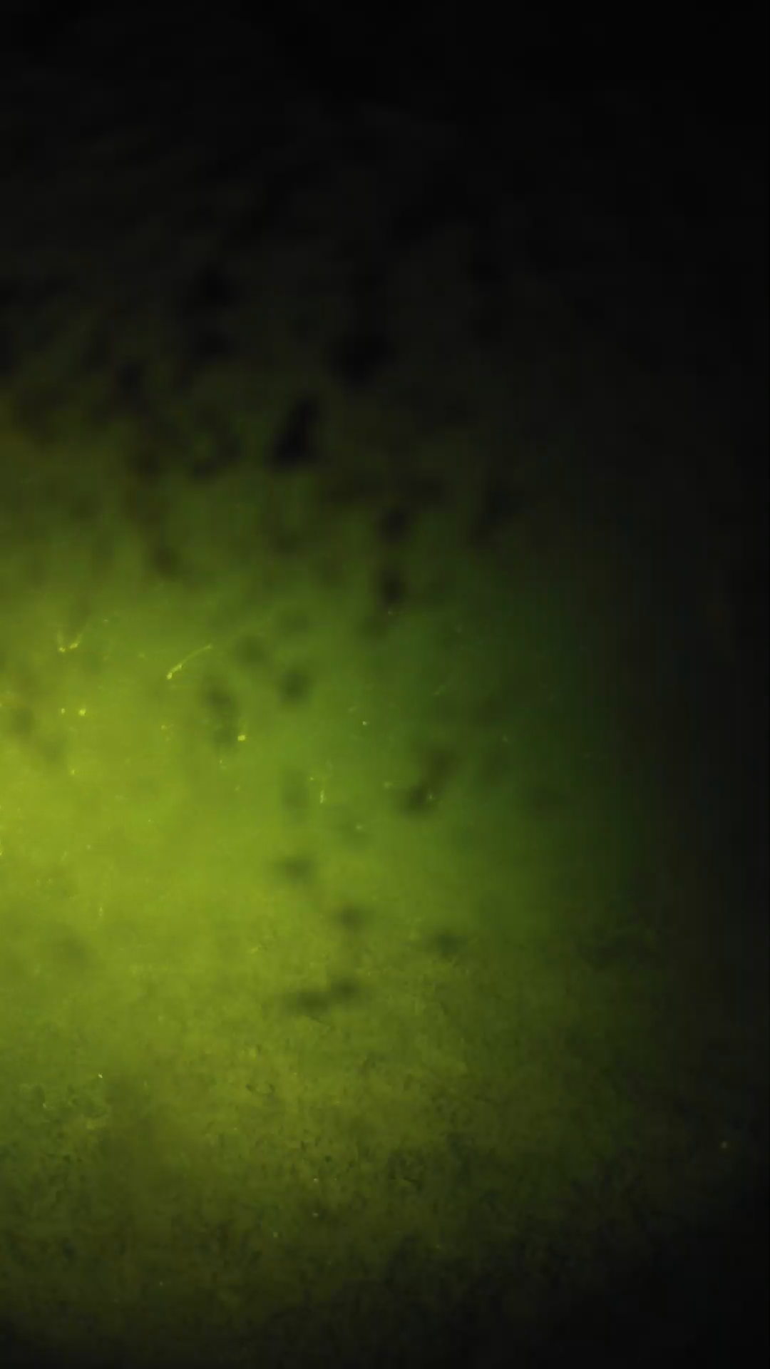lander_ipcam_20240701000600.png