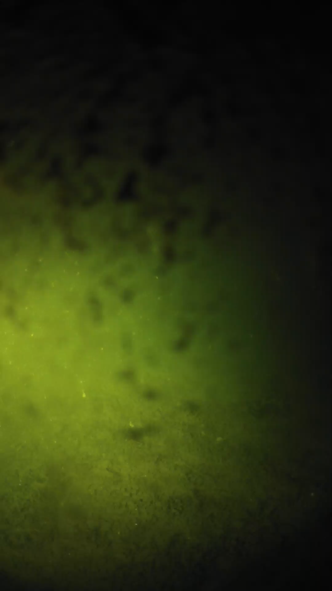 lander_ipcam_20240701003548.png