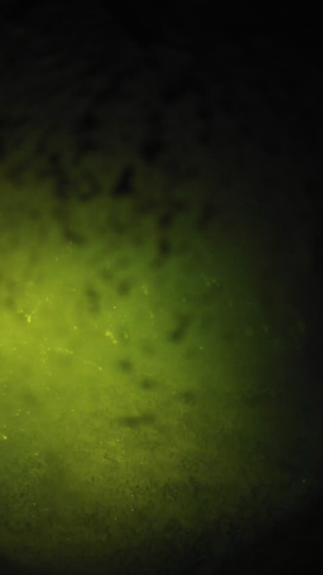 lander_ipcam_20240701013546.png