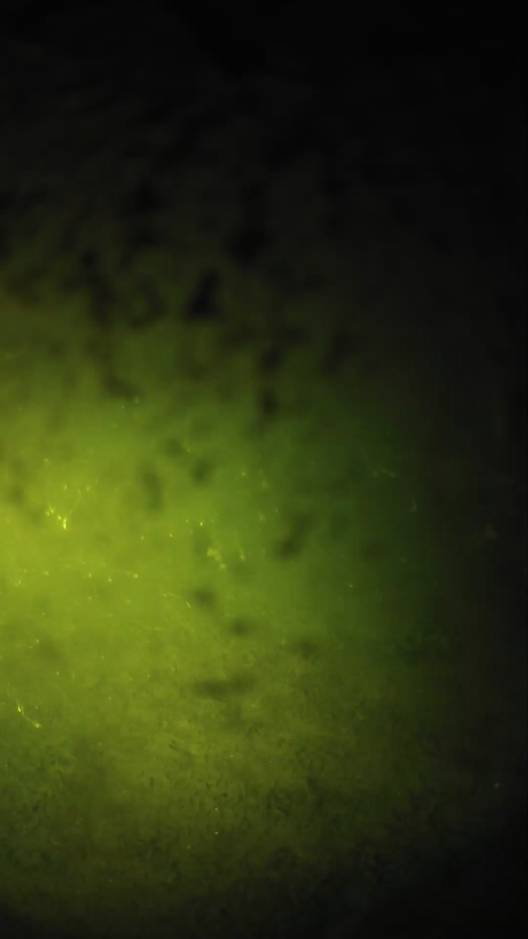 lander_ipcam_20240701013548.png