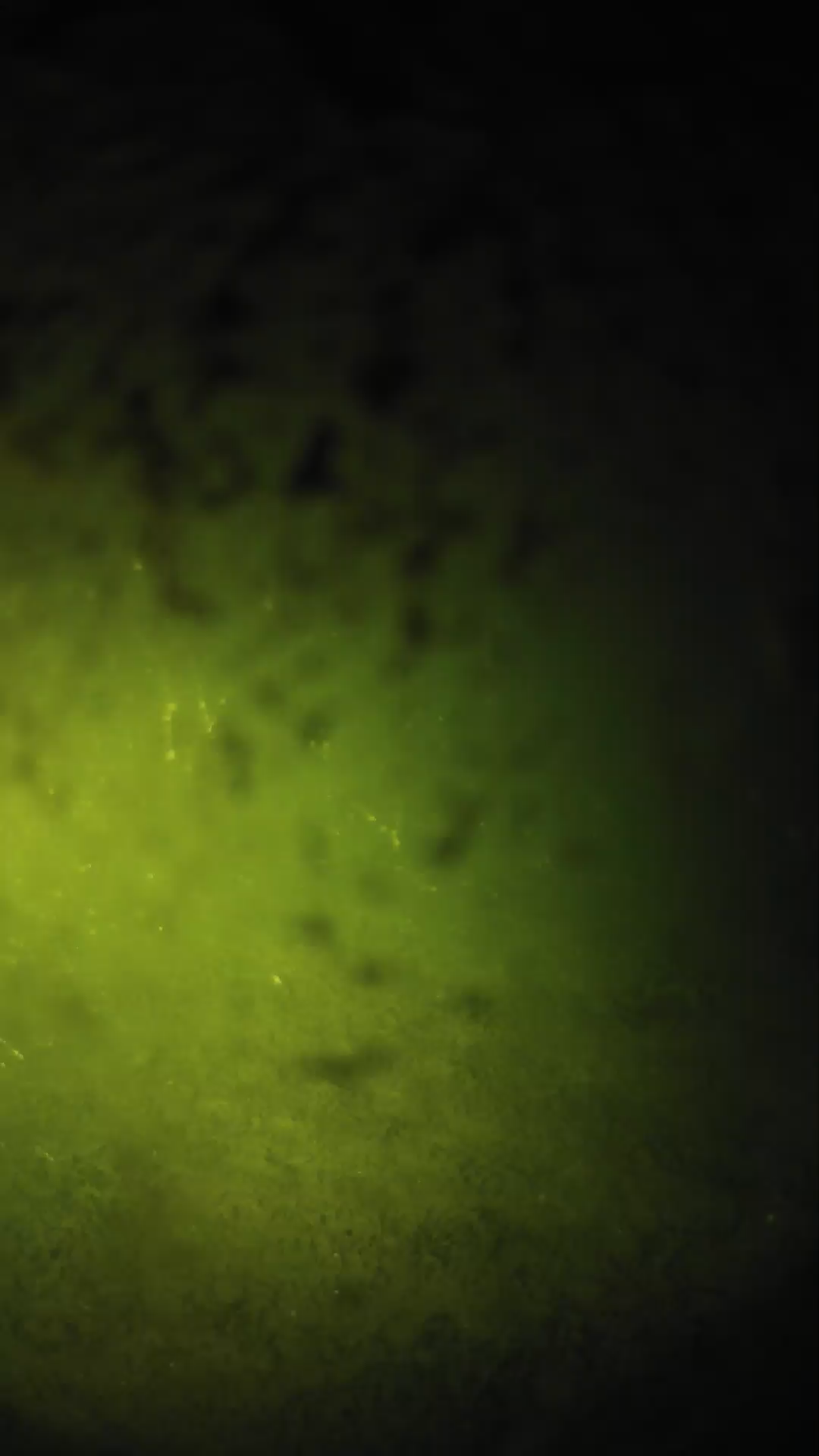 lander_ipcam_20240701013607.png
