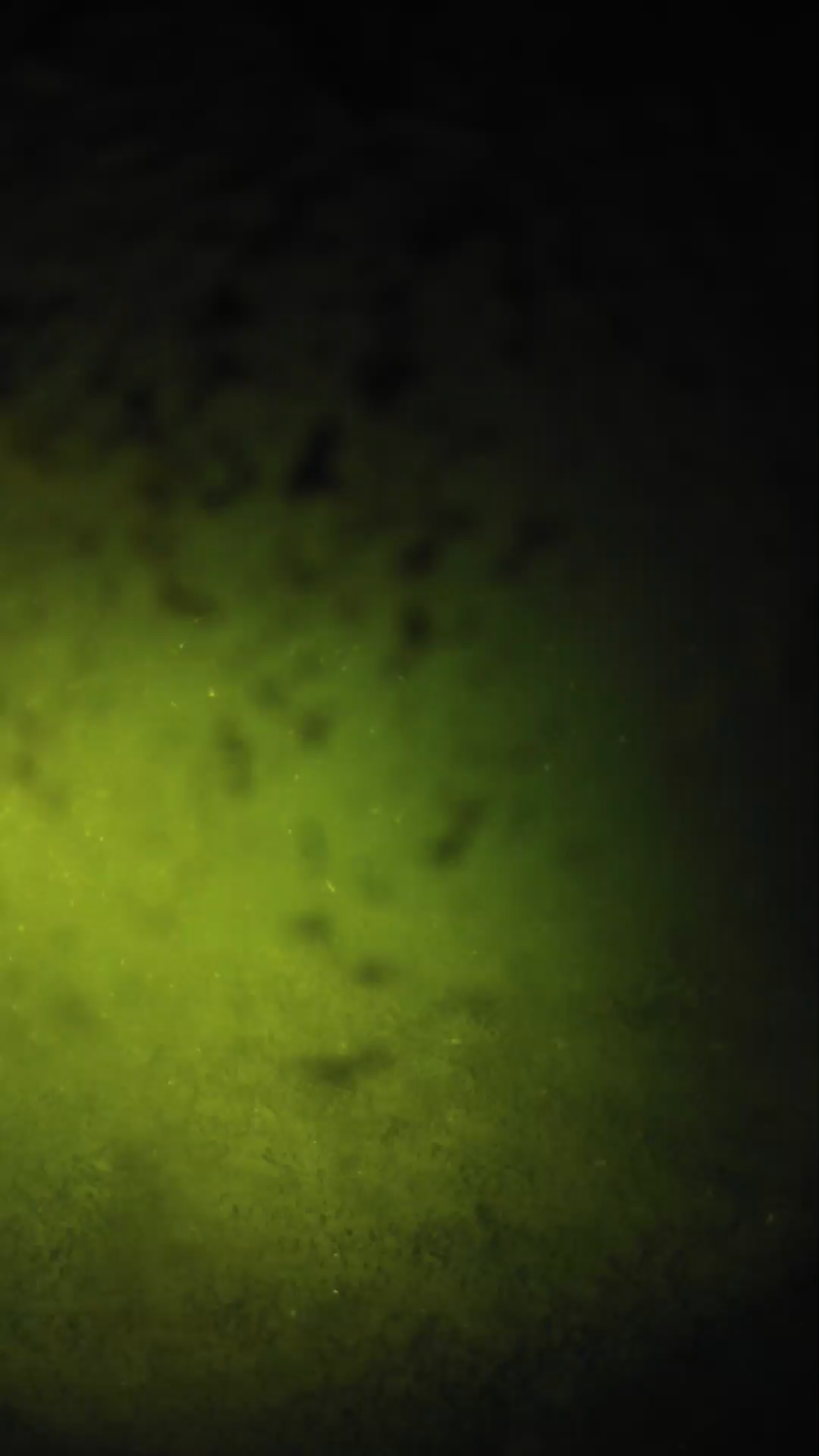 lander_ipcam_20240701023600.png
