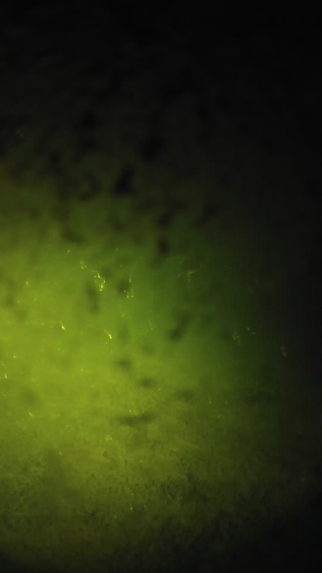 lander_ipcam_20240701030541.png