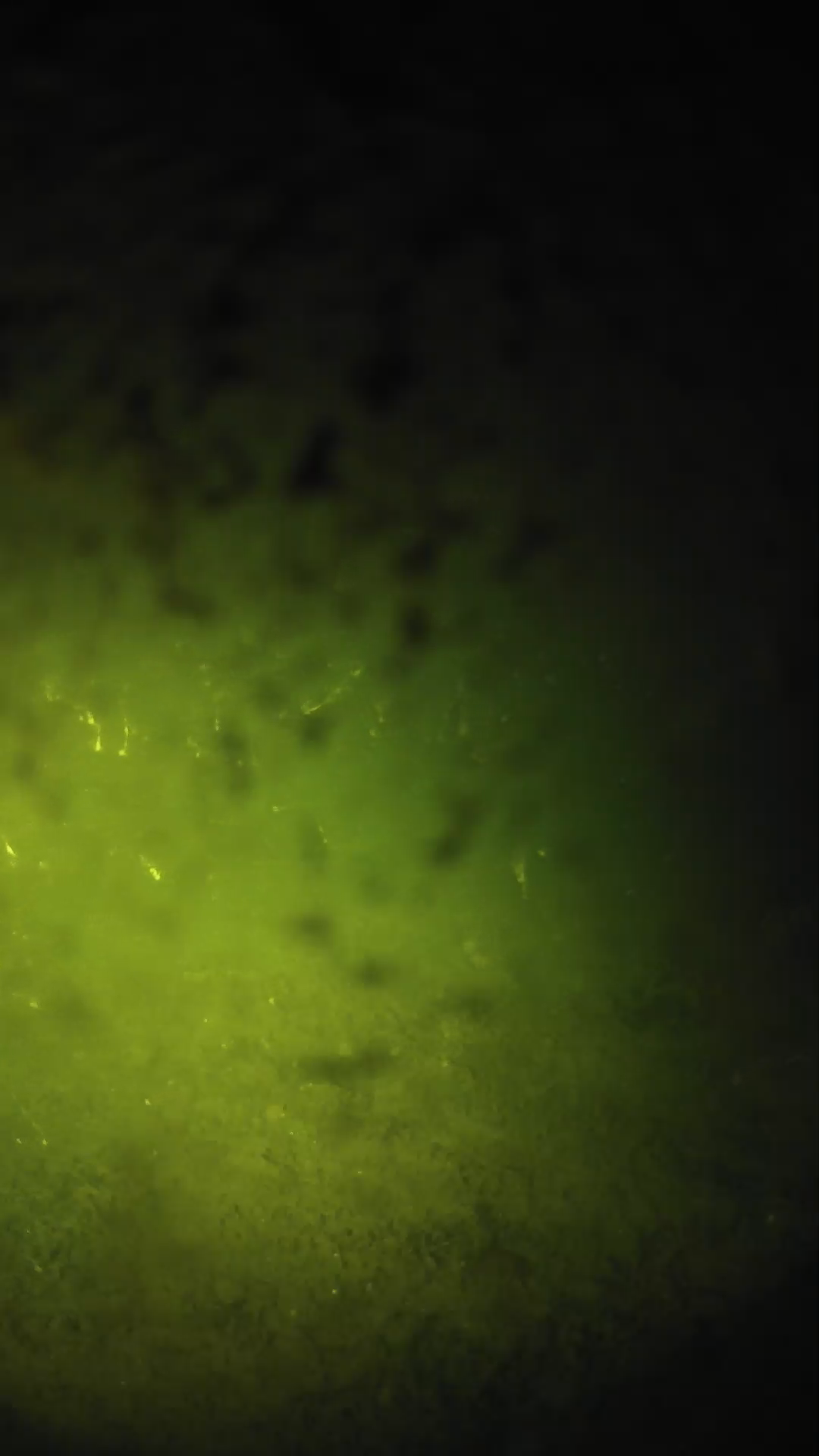 lander_ipcam_20240701030546.png